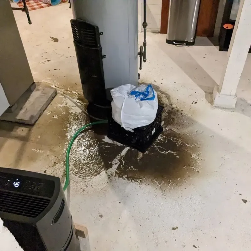 Sewage Backup Cleanup Service in Jefferson, OH